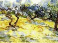 Olivenbäume strahlend blauer Himmel Vincent van Gogh
